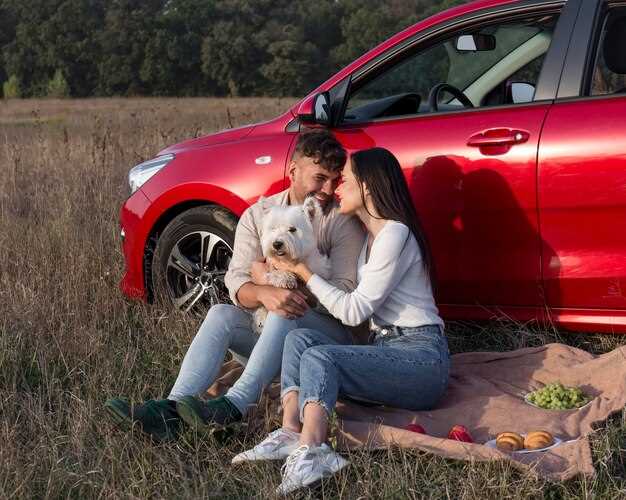 Mejores accesorios para autos familiares